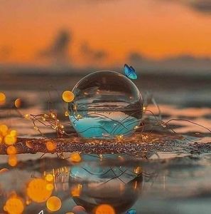 Meet your Posher, Khaterat